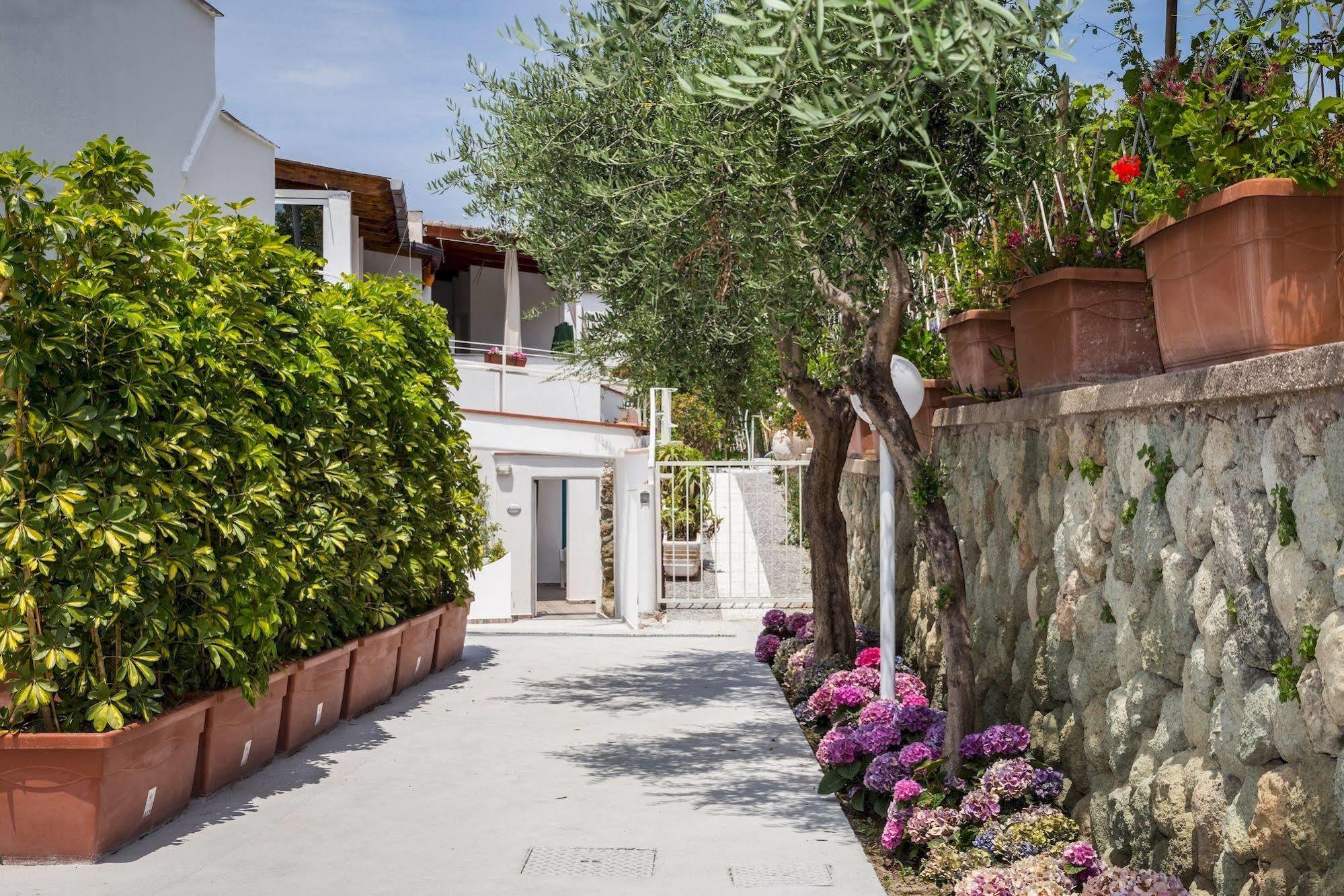 Bed and Breakfast Relais Romildanna à Forio di Ischia Extérieur photo